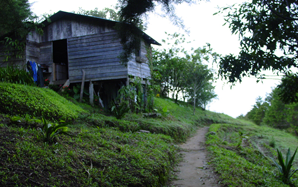 Cabaña : Comunidad y Reserva Biológica Durika