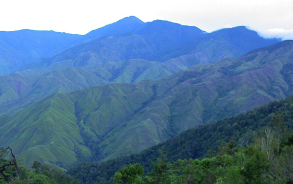 Cerro Durika : Comunidad y Reserva Biológica Durika