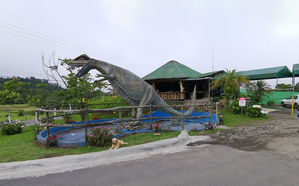 Maiasaura - Dino Park