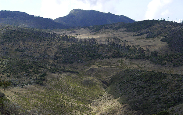 Vista desde el Este Sabana los Leones : Parque Nacional Chirripo